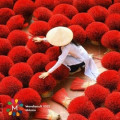 © UNESCO, Shutterstock